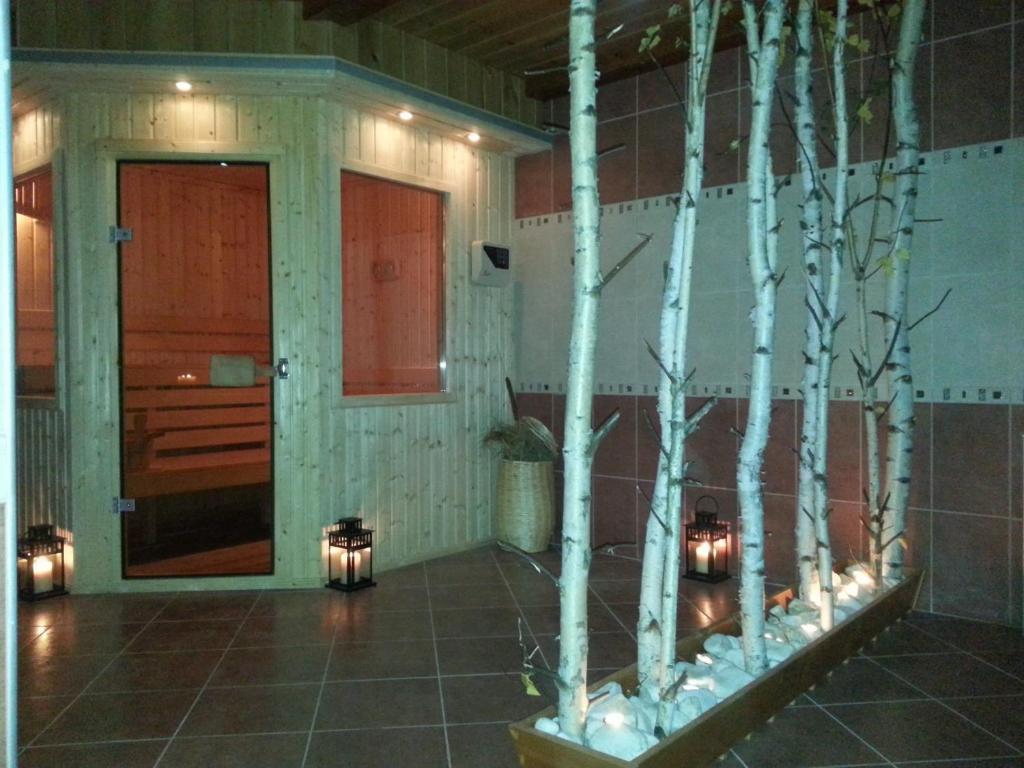Snow Pearl Residence & Free Spa Banszko Kültér fotó